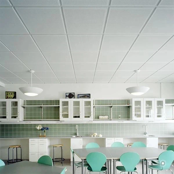 Ceiling PVC Boards