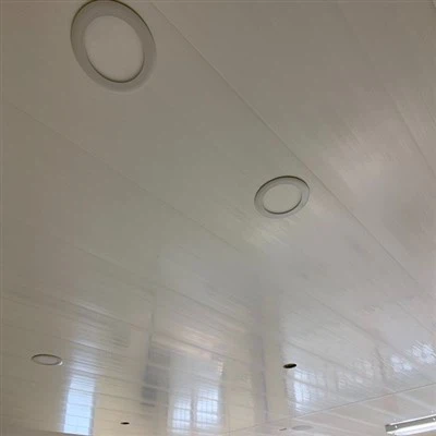 Pvc-plafondpanelen
